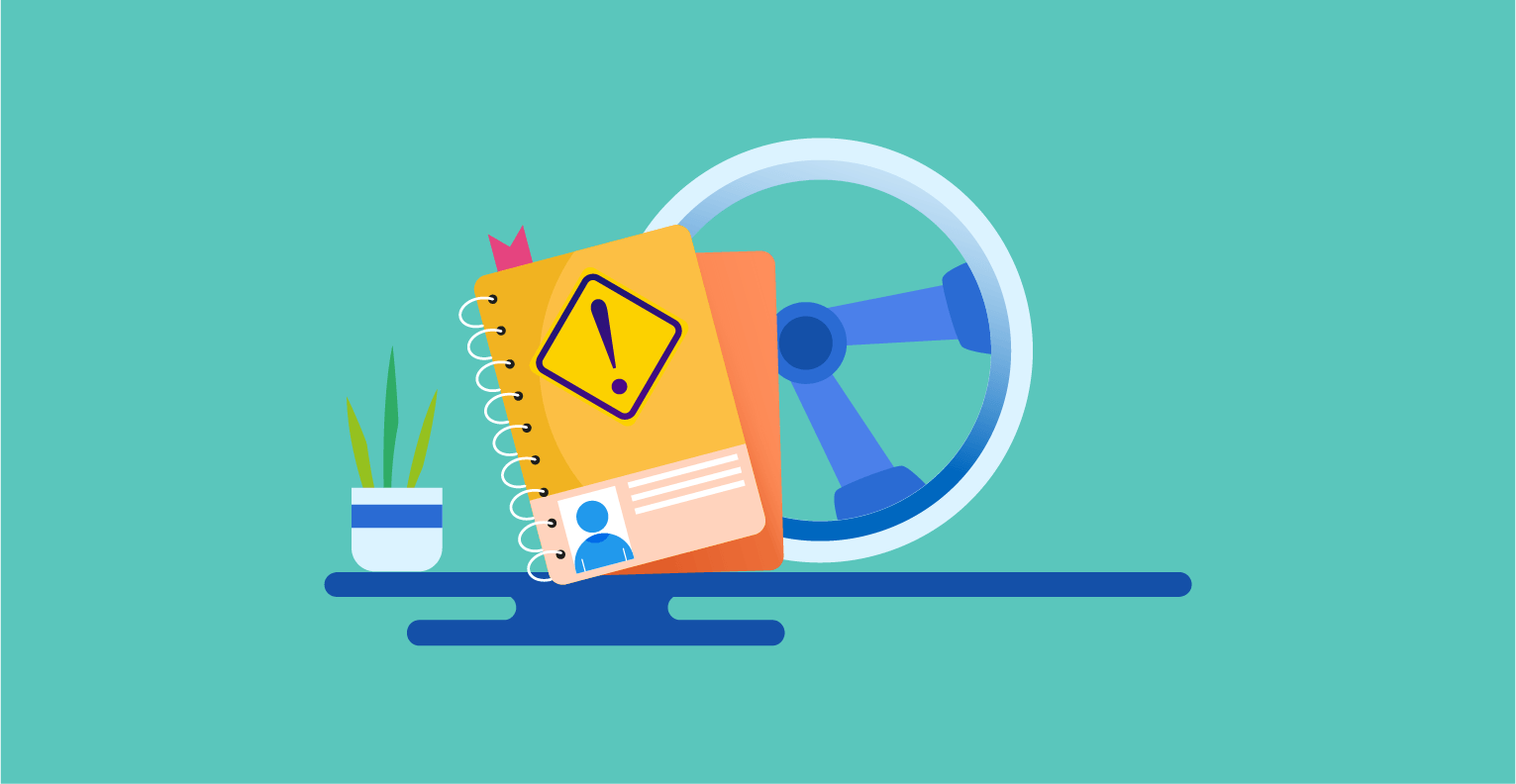 Provisional Driving Licence Guide